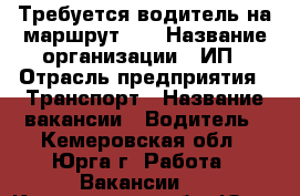 Требуется водитель на маршрут №2 › Название организации ­ ИП › Отрасль предприятия ­ Транспорт › Название вакансии ­ Водитель - Кемеровская обл., Юрга г. Работа » Вакансии   . Кемеровская обл.,Юрга г.